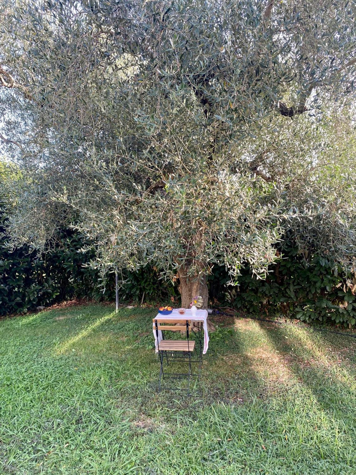 La Locanda Del Tevere Fiano Romano Dış mekan fotoğraf