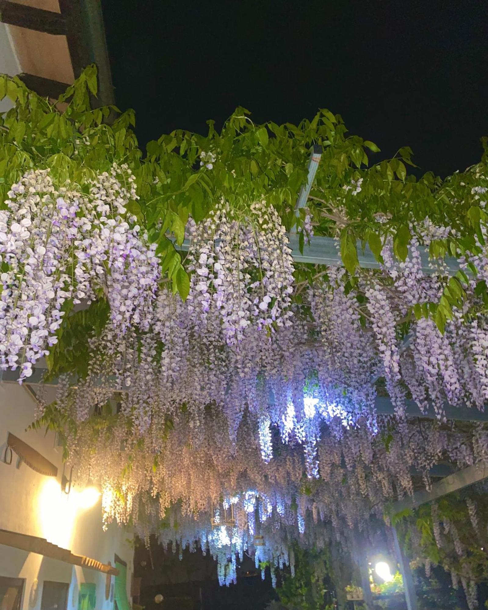 La Locanda Del Tevere Fiano Romano Dış mekan fotoğraf