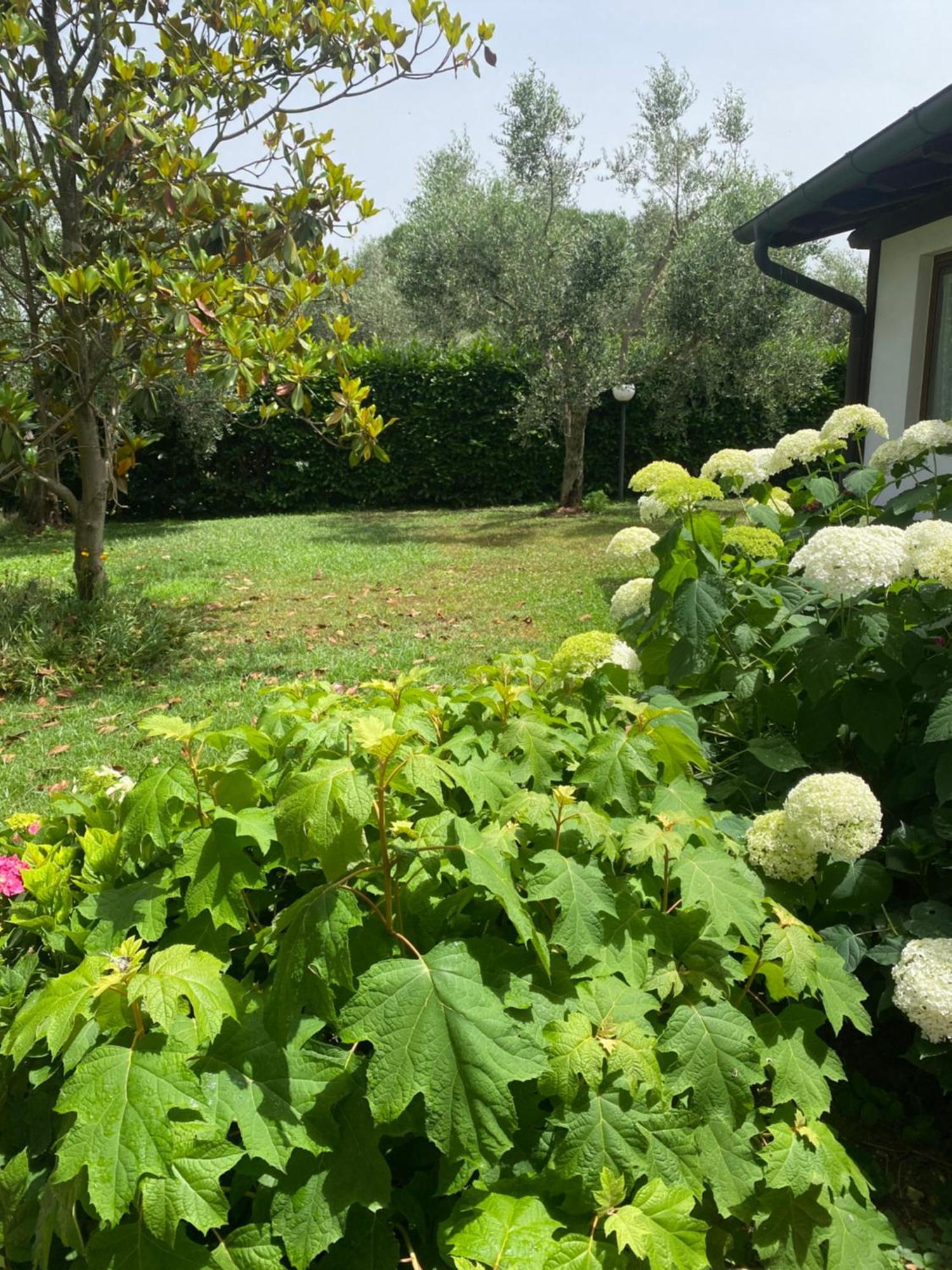 La Locanda Del Tevere Fiano Romano Dış mekan fotoğraf